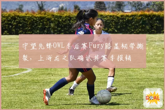 守望先锋OWL季后赛Fury膝盖韧带撕裂,上海龙之队确认其赛季报销
