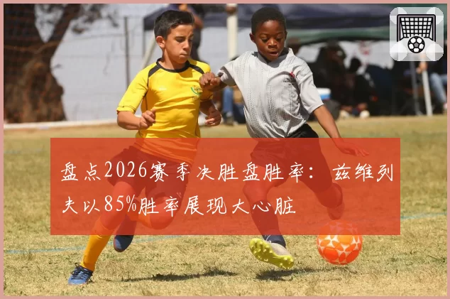 盘点2026赛季决胜盘胜率：兹维列夫以85%胜率展现大心脏