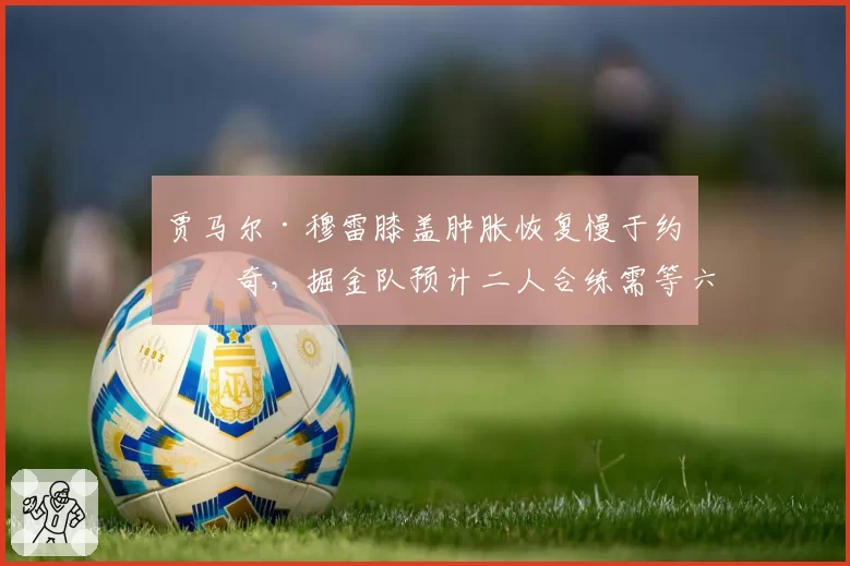 贾马尔·穆雷膝盖肿胀恢复慢于约基奇,掘金队预计二人合练需等六场