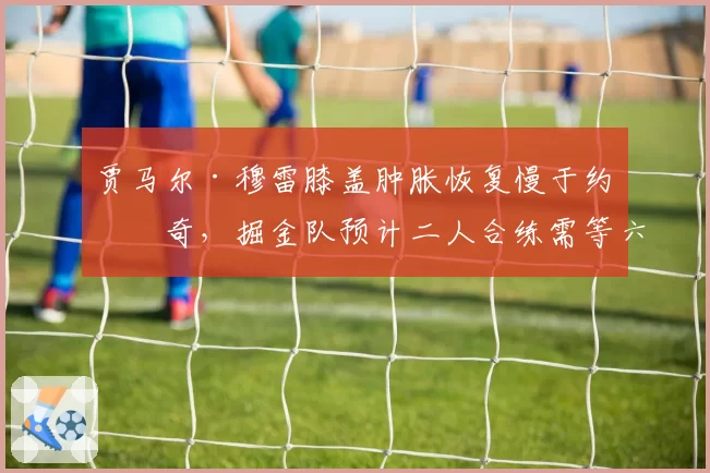 贾马尔·穆雷膝盖肿胀恢复慢于约基奇,掘金队预计二人合练需等六场