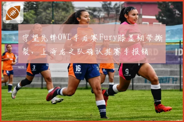 守望先锋OWL季后赛Fury膝盖韧带撕裂，上海龙之队确认其赛季报销