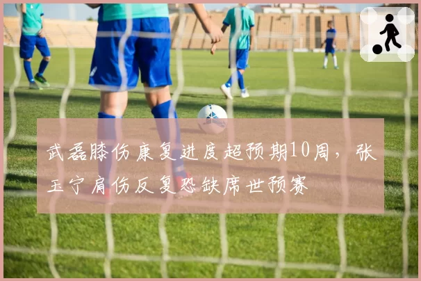 武磊膝伤康复进度超预期10周,张玉宁肩伤反复恐缺席世预赛
