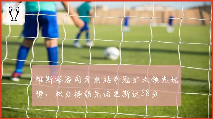 维斯塔潘匈牙利站夺冠扩大领先优势，积分榜领先诺里斯达58分