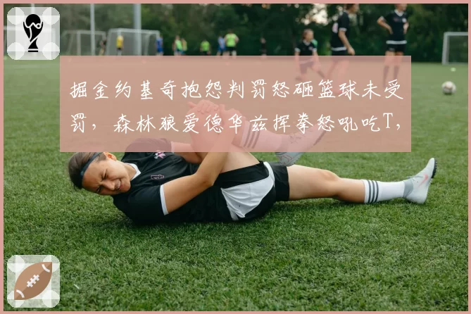 掘金约基奇抱怨判罚怒砸篮球未受罚,森林狼爱德华兹挥拳怒吼吃T,NBA裁判尺度两极分化