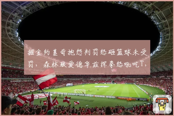 掘金约基奇抱怨判罚怒砸篮球未受罚,森林狼爱德华兹挥拳怒吼吃T,NBA裁判尺度两极分化